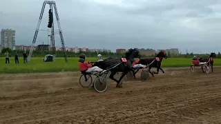 Конные бега в Новочебоксарске: Такого еще не было!