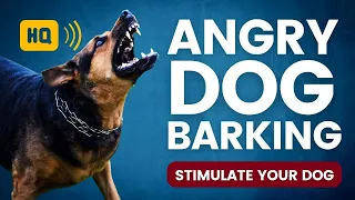 Angry Dog Barking 🐕 High Quality Angry Dog Sound Effects Compilation