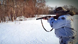 Охота на Зайца в Общедоступных Охотугодьях. Здесь их много!!!