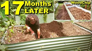 What Happens to Woodchips in the Base of a Raised Garden Bed?