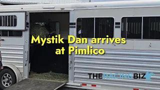 Mystik Dan arrives at Pimlico