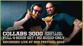 RUTHLESS 4-HR CLOSING SET COLLABS 3000 ▪ SPEEDY J + CHRIS LIEBING  ▪  909 FESTIVAL 2018  |  HD audio