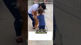 Asi reacciona cuando encontraron a su perro desaparecido 🥰