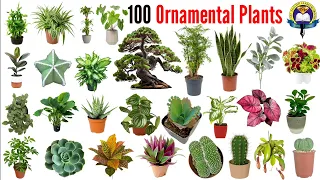 Ornamental Plants Name | 100 Ornamental Plants Name With Pictures | Easy English Learning Process