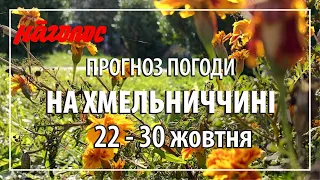 Остання усмішка бабиного літа - сплески тепла та невеликі дощі протягом всього тижня. NagolosTV