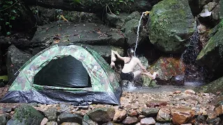 LIVING OFF GRID - Solo camping in the rainforest, Cooking on stone - Bushcraft Outdoors Ep.7