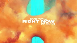 Baris Turna - Right Now (Na Na Na) (Official Canvas Video)