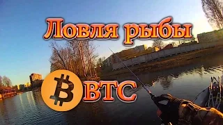 ловля рыбы BTC кран