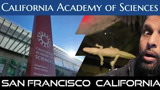 Exploring the Wonders of Nature at the California Academy of Sciences | #sanfrancisco  #museum