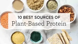 10 BEST Plant-Based Protein Sources (+ a FREE printable!)