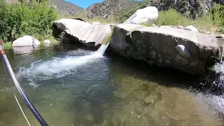 Southern California Fly Fishing - Rainbow Trout