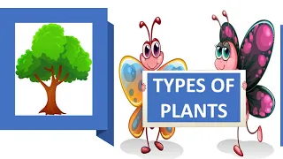 TYPES OF PLANTS || TREES, SHRUBS, HERBS, CLIMBERS, CREEPERS ||SCIENCE EDUCATIONAL VIDEO FOR CHILDREN