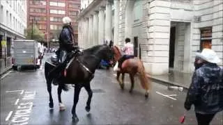 Queen's Horses at London's New Year's Day Parade 2014