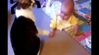 Игра в ладушки малыша и кота!