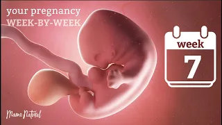 7 Weeks Pregnant - Natural Pregnancy Week-By-Week