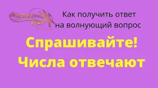 Как получить ответ на волнующий вопрос.  Спрашивайте! Числа отвечают.