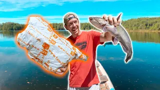TEMU Tackle Fishing Challenge!