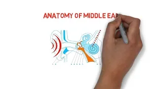 ANATOMY OF MIDDLE EAR