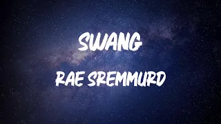 Rae Sremmurd - Swang (Lyric Video) | Know some young niggas like to swang