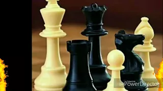 Le joueur d'échecs / Partie 1