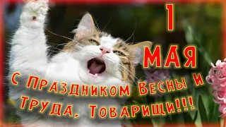 поздравление с 1 мая!🌼 с днём весны и труда!🌍