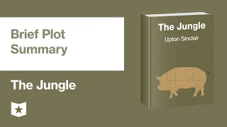 The Jungle by Upton Sinclair | Brief Plot Summary