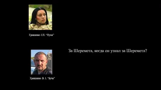 Запис розмови по справі Шеремета - Грищенки про Ваню