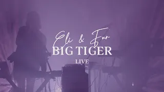 Eli & Fur - Big Tiger (Live)