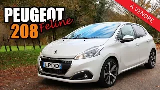 Peugeot 208 Féline | Voiture pour jeune conducteur ?