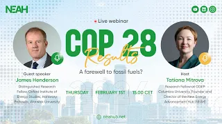 COP 28 Results: A Farewell to Fossil Fuels?