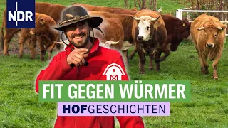 Weide adé: Rinder müssen in den Stall | Die Nordreportage: Hofgeschichten (207) | NDR