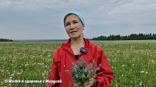 СИЛЬНАЯ ТРАВА ОТ МНОЖЕСТВО НЕДУГ ПОД НОГАМИ У ВАС ЗДОРОВЬЕ ОТ ПРИРОДЫ@natureMarusya