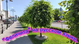 #песняФеличитанарусскомязыке        "Феличита" на русском языке.