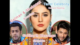 🌍EpNo463☀Salman&Shehnaaz UniverseBlessings MostDemanding Tarot CelebrityReading #TheShaktiRakhi#TSGA