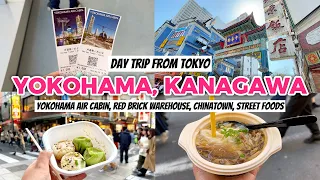 Tokyo 2023 🇯🇵🌸 Vlog | Day Trip from Tokyo, Yokohama, Air Cabin, Red Brick Warehouse, Chinatown