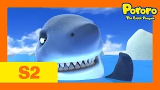 [Season 2] E16 Shark Attack! | Kids Animation | Pororo the Little Penguin