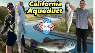 California Aqueduct | Swimbaits, Lures and Knowledge to Catch Fish!