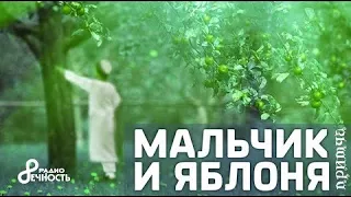 Притча  "Мальчик и яблоня"