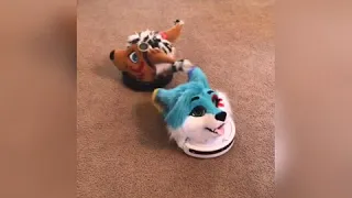 Furry tik tok #9 ( 1K SUBS?