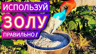 КАК НЕ НАВРЕДИТЬ В ОГОРОДЕ ЗОЛОЙ? Осень Весна Лето!