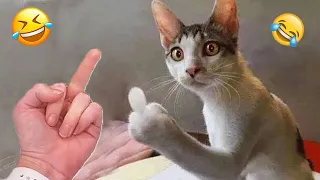 Best Funny Animals Videos 2024 😆 | Funny and Cute Cats 🐈 and Dogs 🐕 Videos 51