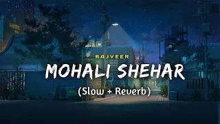 Mohali Shehar (Slow + Reverb) : Rajveer | Latest Punjabi Songs 2024 | Jot Music