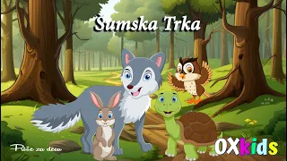 Šumska Trka - Priče za decu OXkids