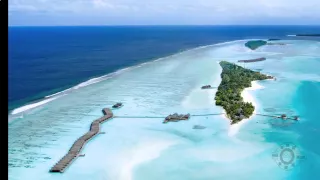 Атолл Ари.  Мальдивы.