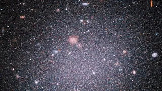 Galaxy that is missing dark matter investigated using Hubble
