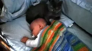 cat and baby Кошка  гладит и убаюкивает малыша в его кроватке