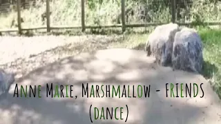 Anne Marie, Marshmallow - Friends | My First Choreographed Duet