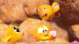 Where's Chicky? Funny Chicky 2023 | The diamond mine | Cartoon in English for Kids | New episodes