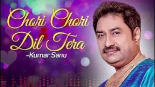 Chori Chori Dil Tera || Phool Aur Angaar (1993)