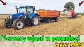 Pierwszy wjazd w pszenicę | Żniwa 2020 | Bądźcie bezpieczni | Sprawdzamy wilgotność | Przed awariami